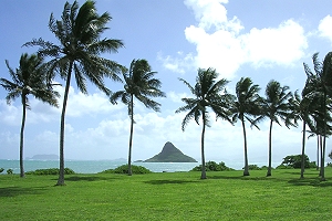 reise hawaii, urlaub oahu, deutschsprachige tour hawaii, hawaii urlaub, sightseeing oahu