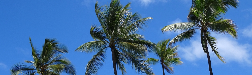 hawaiiurlaub, beste reisezeit hawaii, flüge hawaii, hawaiireise, klima hawaii, tipps hawaii, hawaii spezialist, reisebüro hawaii