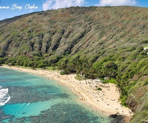 hawaii urlaub, flüge hawaii, schönste strände hawaii, schöne strände hawaii, strände oahu, spezialist hawaii, hawaiireisen, schnorcheln hawaii