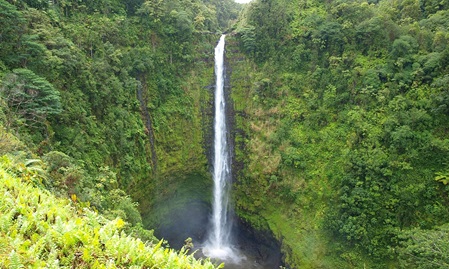 reise hawaii, hawaii urlaub, akaka falls hawaii, hamakua coast hawaii, flug hawaii