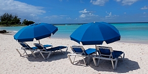 karibik-barbados-liegen-und-sonnenschirme-am-weissen-sandstrand