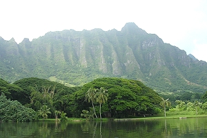 ausflüge hawaii, tour oahu, hawaii reise, tour kualoa ranch, ausflug kualoa ranch, aktivitäten oahu, sightseeing oahu