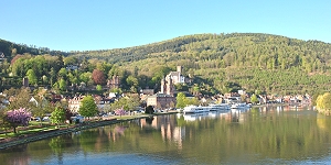 flusskreuzfahrt, mainkreuzfahrt, miltenberg, flussreise main, reisebüro flussreisen, kreuzfahrt buchen, flusskreuzfahrt main, flusskreuzfahrten buchen