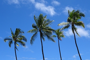 beste reisezeit hawaii, hawaii klima, hawaii günstig, flüge hawaii, inselhopping hawaii, urlaub hawaii, hotels hawaii, wetter hawaii