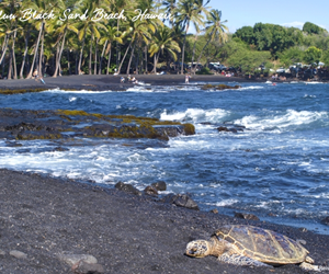 schildkröten hawaii, schöne strände hawaii, hawaiiurlaub, schwimmen hawaii, wellen hawaii, reisebüro hawaii, hawaii spezialist, mietwagen hawaii
