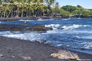 schildkröten hawaii, schöne strände hawaii, hawaiiurlaub, schwimmen hawaii, wellen hawaii, reisebüro hawaii, hawaii spezialist, mietwagen hawaii