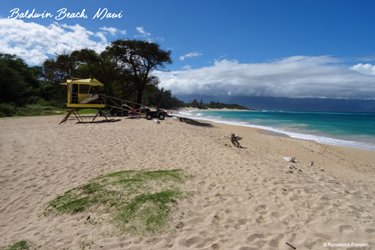 surfen maui, strände maui, schönste strände hawaii, hawaiiurlaub, hawaii buchen, strände hawaii, reisebüro hawaii, hawaiiexperte, ausflüge maui