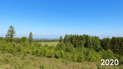 reisebüro köln, umweltbewusst reisen, nachhaltig reisen, reisen kompensieren, co2 ausgleich, klimaneutral reisen, flüge buchen