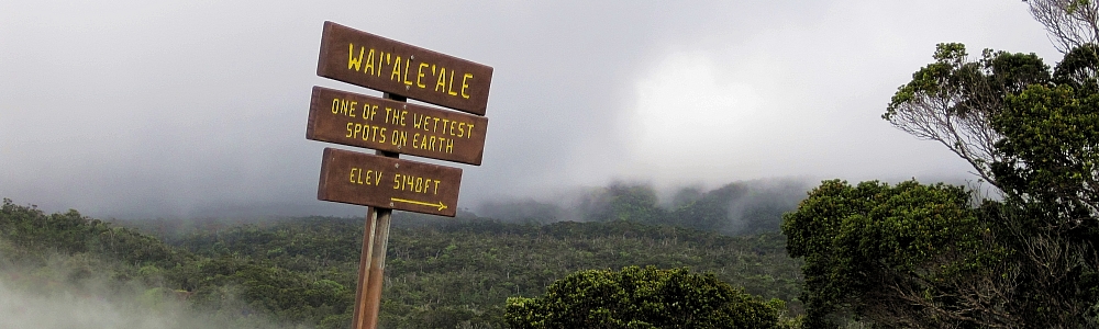 reise kauai, touren kauai, ausflüge hawaii, inseltouren hawaii, tour waimea canyon, aktivitäten kauai